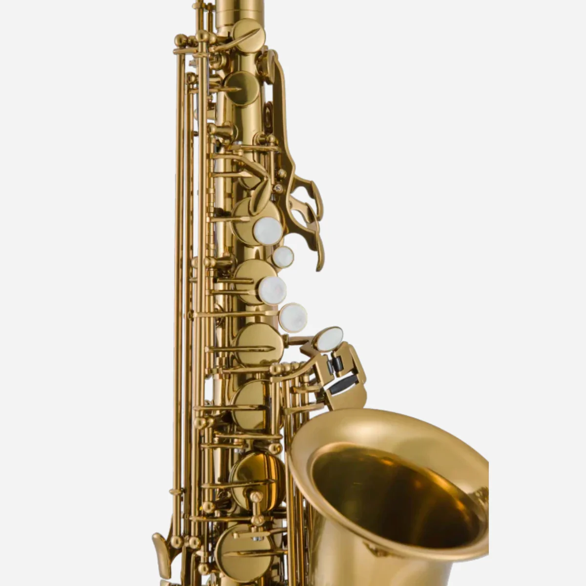 Leblanc LAS411 Alto Saxophone, Gold Lacquer - Image 5